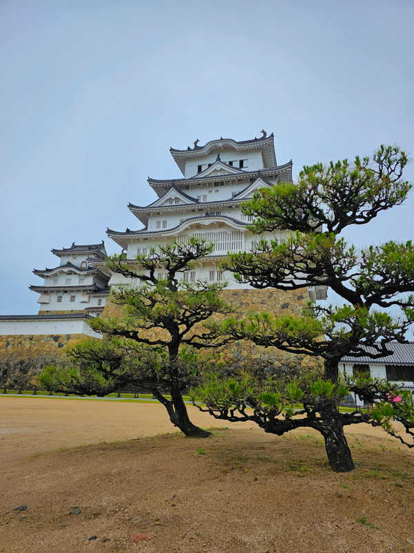 Weiße, japanische Burg mit zwei Bäumen im Vordergrund